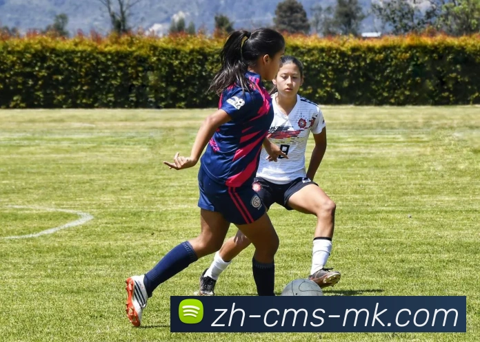 MK体育品牌故事