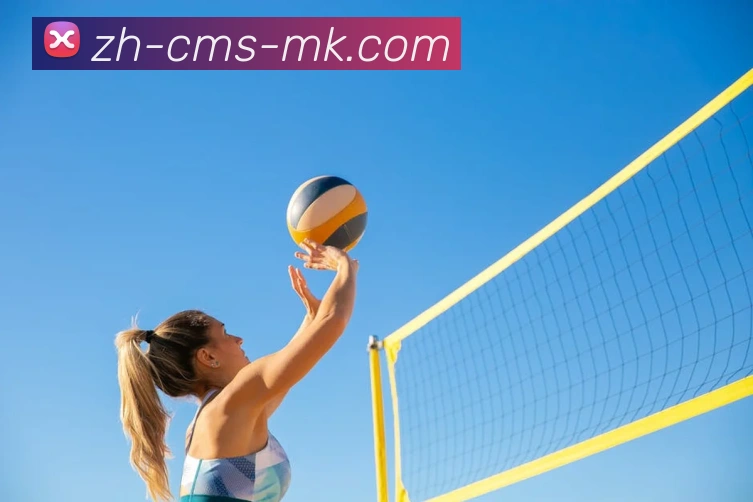 MK体育服务体系